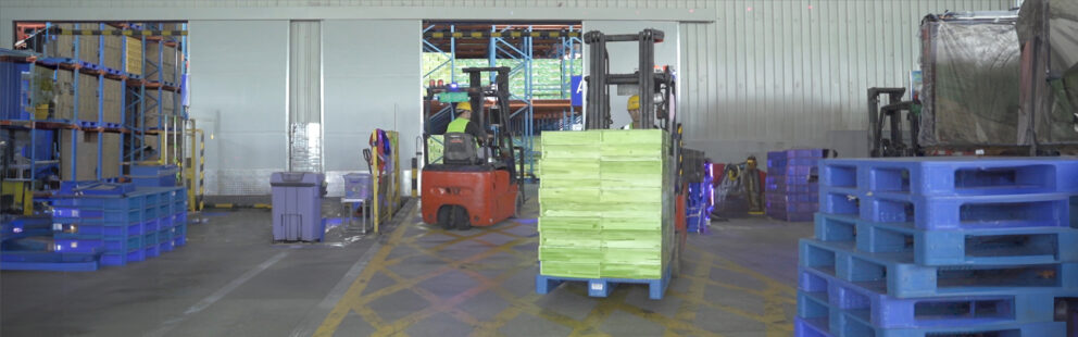 Forklift moving green boxes in a warehouse