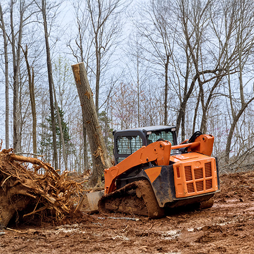 skid steer on a lumber site