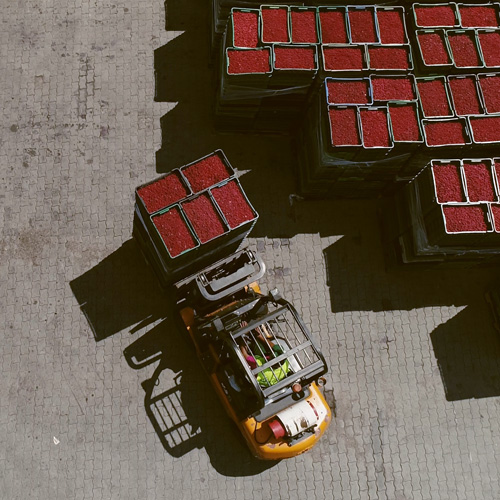 a forklift carrying tomatoes
